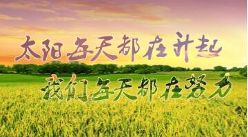 荃銀高科“徽兩優985”榮膺2025年度超級稻品種